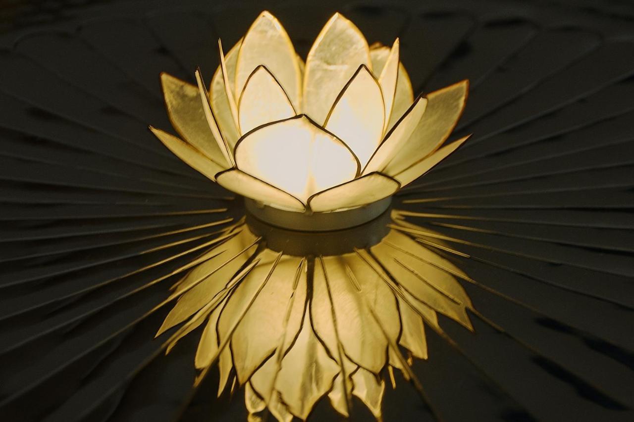 White Lotus Apartment فيينا المظهر الخارجي الصورة
